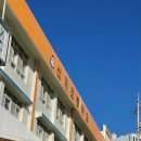 해운대로81번길 55 이미지