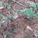 신의한수농장 이미지