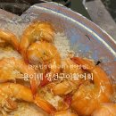 세븐일레븐천안성진로점 | [천안 대하구이 맛집] 용이네 생선구이활어회 | 제철 대하 + 전어 제대로 즐기고 온 후기🔥