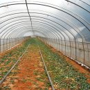 화전농장 이미지