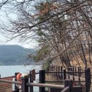 천보태양광발전소 이미지