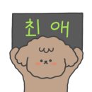광주 반려동물용품 위글리펫 용봉점 네이버블로그