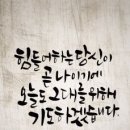 캘리그라피 이미지