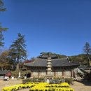 샘골목장 | 가을여행지 공주가볼만한곳 마곡사 단풍