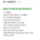 케이엔엘 이미지