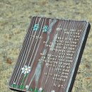 이영춘「들풀」 이미지