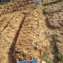 기특이네 농장 이미지