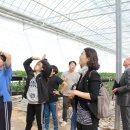 마하나임농장 이미지