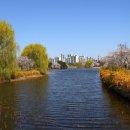 팔각쉼터 앞 이미지