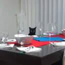 죠아저씨치킨 | 8년차 집사가 알려주는 유기묘 입양 현실과 추천템 (feat. 고양이라서 다행이야 카페 입양후기)