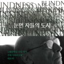 만연홀 | 눈먼자들의 도시 / 주제 사라마구 - 독서후기