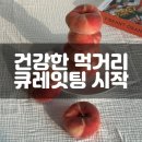 [큐레잇팅] “내 아이와 가족에게 먹일 수 있을 만큼” 건강한 먹거리 큐레잇터 4기를 시작하며