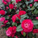 막동농장 이미지