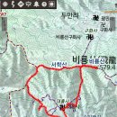 말하는은행나무 이미지