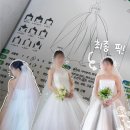 호텔제이탑 | 실크 드레스투어 비교 후기! 크리드제이, 로우케이, 디아시 (ft.최종 홀딩)
