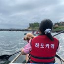 재밌었던 제주투명카약 애견동반가능 하도해수욕장 하도카약