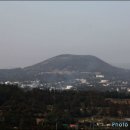 고근산 이미지