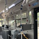 나이스카워시 | [제주] 6개월 아기와 제주도 여행 준비물, 롯데 렌트카 제주, / 아기와 같이 가기 좋은 제주도 식당...