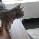 코코호텔 이미지