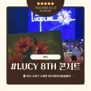 아이돌루시 | [부산/수영구/KBS홀] <2025 부산 LUCY 8TH LUCID LINE> 루시 콘서트 관람 후기 &amp; 티켓팅 후기 🎤✨