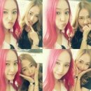 크리스탈장 이미지