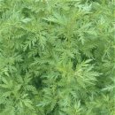 청호약국 이미지