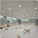 부산애견호텔 댕스스쿨 이미지