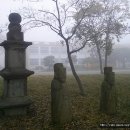 면천초교 Daum카페