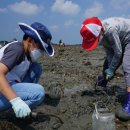원북초등학교 이미지