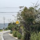 신점경로당 | 연화당 I 세종 점집 I 세종 공주 청주 용한 점집 신점 보고 온 후기