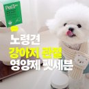 마루세븐 | 노령견 강아지 관절 영양제 펫세븐으로 관리 어때요?