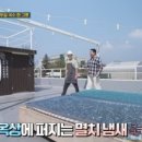 국수나무아산 - 아산시 설화고길 6 | 국수나무아산