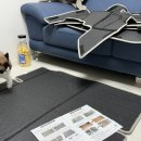 [차량용품🚗] 내돈내산 샤오토 트렁크매트, 더뉴스포티지 X라인 설치 후기