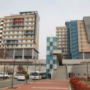 영남대학교생활관 매일신문