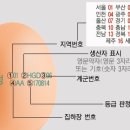 벧엘농장2 이미지