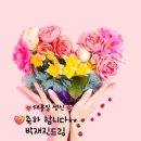 꽃길만 걸어세요, 생일축하 꽃, 이미지, 메세지, 생일 축하합니다, 이미지