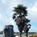 Cu제주표선해변길점 | 제주 여행 필수 코스! 표선 소금막 해변 무료 텐트 &amp; 샤워실 후기