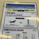 롯데마트 김포공항점 | 층별 안내 포함 / 체험 예약 꿀팁 / 롯데몰 김포공항점 레고스토어 후기 /김포공항역 놀거리, 맛집 추천