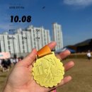 팔봉공설운동장 | 창원특례시장배 광려천 마라톤 대회 후기