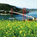 남해 그곳 이미지