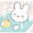 단비펫살롱 이미지