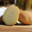 흥농종묘사 이미지