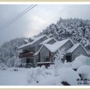 올림픽펜션