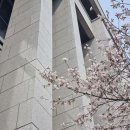 국회회관3식당점 | 여의도 반나절 코스｜국회의사당역→여의도역 산책·카페·도서관 동선 정리