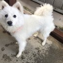 시화파출소 이미지