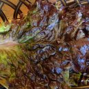 백년식당 서서갈비 이미지