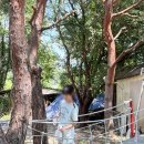 양평아프리카문화예술박물관 | 양평 실내 가볼만한 곳 아프리카문화예술박물관