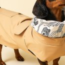 도그엔젤 이미지