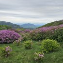 경남 합천 황매산 철쭉산행기 이미지