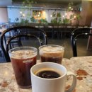 마호가니 이미지